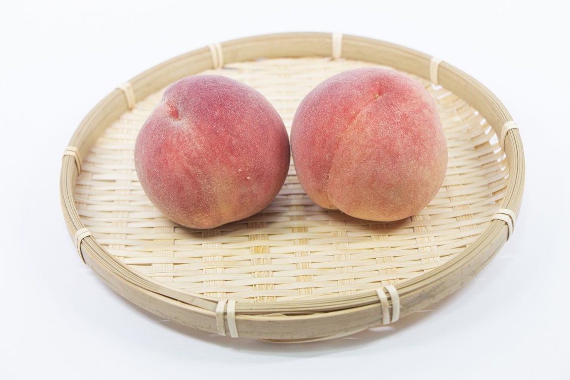 なつっこ